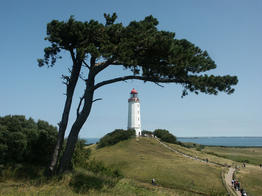 Hiddensee Leuchturm